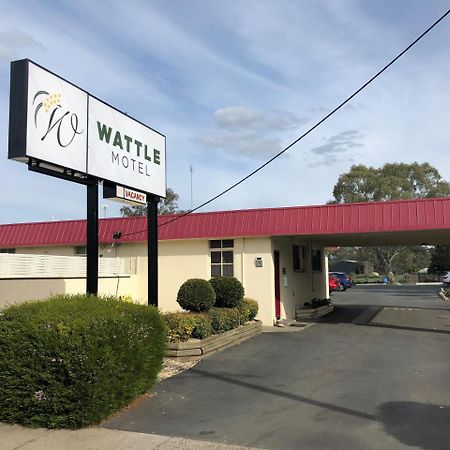 Wattle Motel Сеймур Экстерьер фото